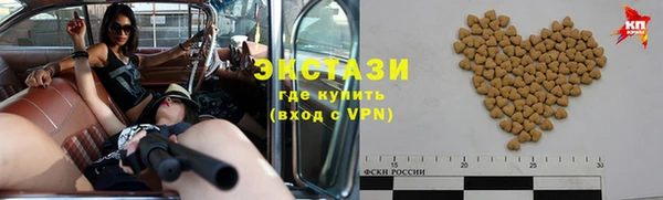 гидра Надым