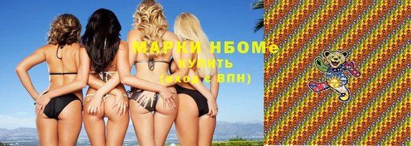 гидра Надым