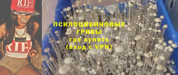 эйфоретик Нея