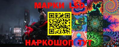 дмт Гусев