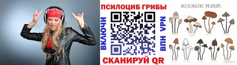 блэк спрут сайт  Лиски  Галлюциногенные грибы Psilocybe  как найти закладки 