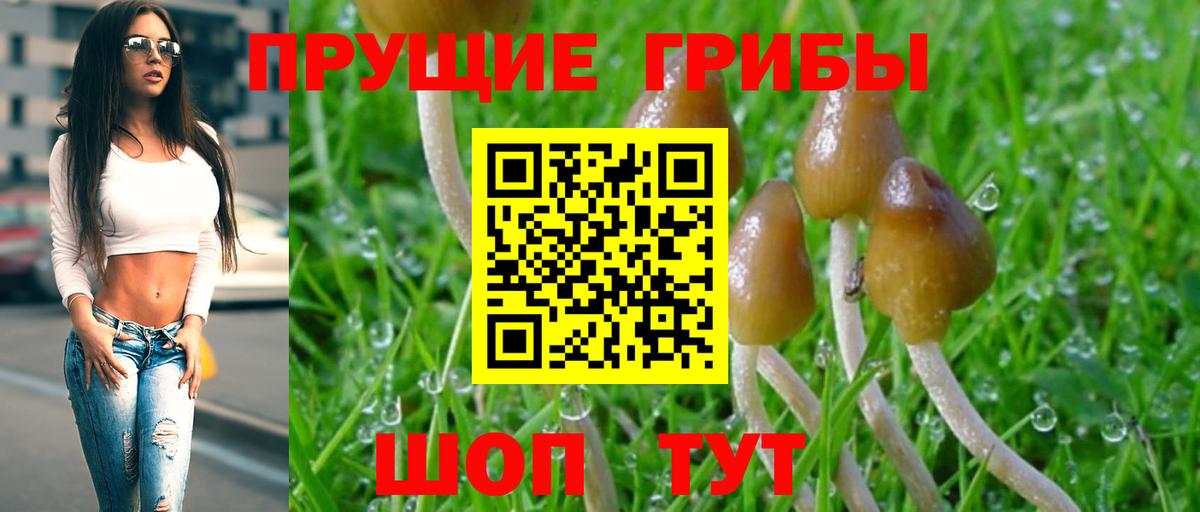 купить наркотик  Лиски  Галлюциногенные грибы прущие грибы 