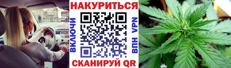 Бошки Шишки Amnesia  Лиски 